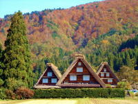 世界遺産白川郷観光タクシー