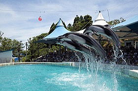 能登島水族館