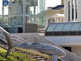 能登島水族館 能登観光タクシー